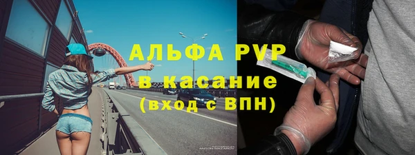 стафф Алексин