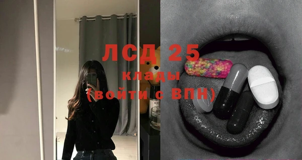 прущие грибы Алзамай