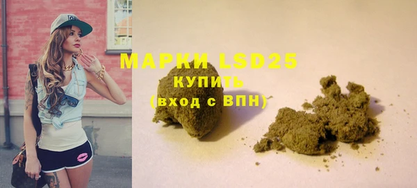 прущие грибы Алзамай