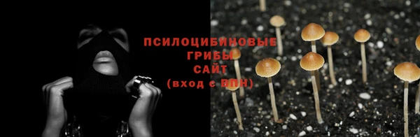 амфетамин Алексеевка
