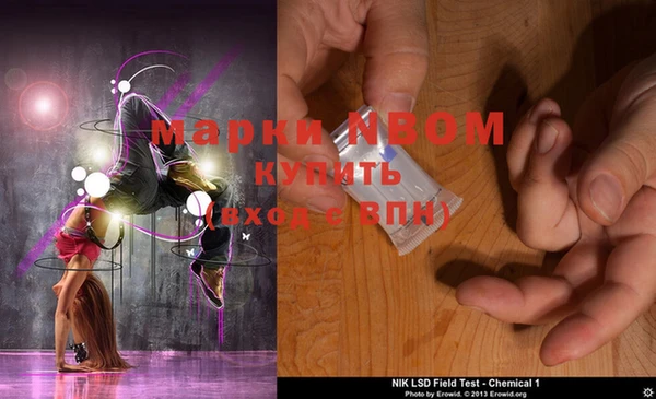 прущие грибы Алзамай