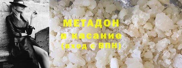 прущие грибы Алзамай